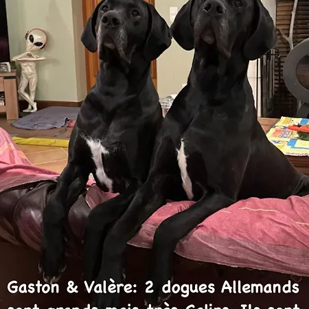 D'hotes Moulindt Frühstückspension Virazeil