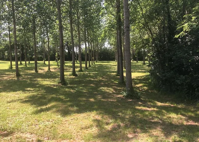 D'hotes Moulindt Bed & Breakfast Virazeil